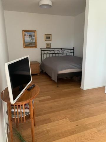 Panorama Hlubocepy Apartment Prag